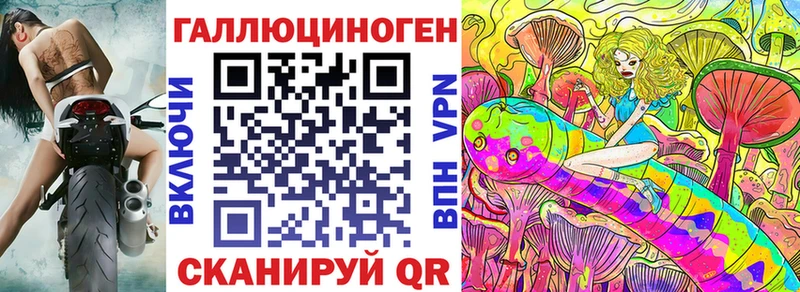 Галлюциногенные грибы Psilocybine cubensis  Батайск 