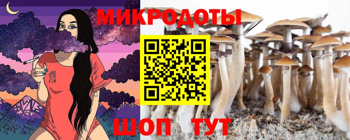 Псилоцибиновые грибы мицелий  Псилоцибиновые грибы мицелий  Вход с VPN  Батайск 