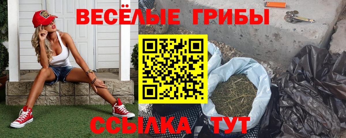 Галлюциногенные грибы мухоморы Батайск