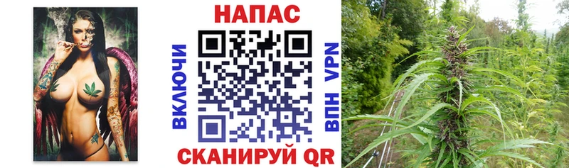 купить наркотик Батайск Конопля Amnesia