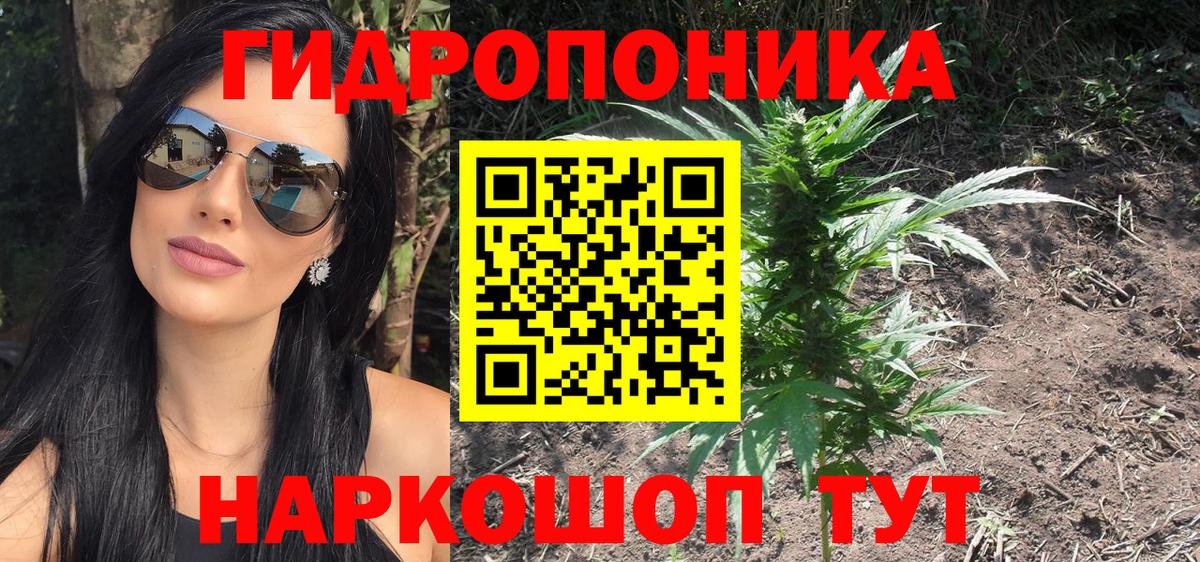 Шишки марихуана Amnesia Батайск